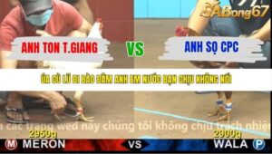 TRẬN 4 CPC4 NGÀY 13/11/2025