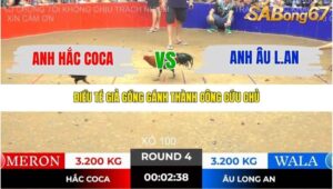 TRẬN 4 TONHON NGÀY 14/11/2025