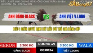 TRẬN 49 TONHON 28/11/2025