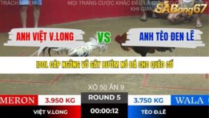 TRẬN 5 TONHON 28/11/2025