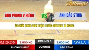 TRẬN 5 TONHON NGÀY 14/11/2025