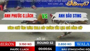 TRẬN 52 TONHON 28/11/2025