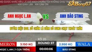 TRẬN 57 TONHON 28/11/2025