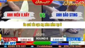 TRẬN 6 TONHON 2/11/2025