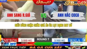 TRẬN 7 TONHON 2/11/2025