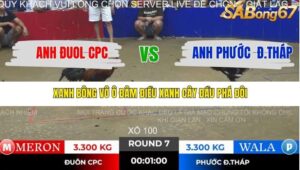 TRẬN 7 TONHON 28/11/2025