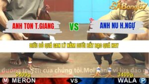 TRẬN 8 CPC4 NGÀY 18/11/2025