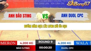 TRẬN 9 TONHON NGÀY 14/11/2025