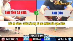 TRẬN 10 CPC3 14/12/2025