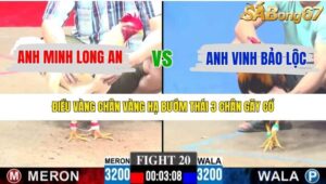 TRẬN 20 CPC3 14/12/2025