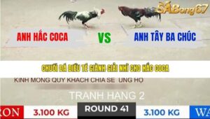 TRẬN 41 TONHON 31/12/2025