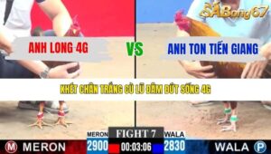 TRẬN 7 CPC3 14/12/2025