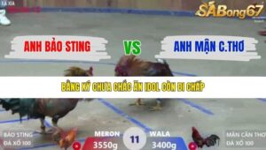 TRẬN 11 XÀ XÍA 19/12/2025