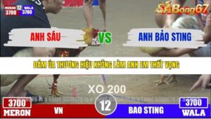 TRẬN 12 TONHON 3/12/2025