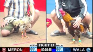 TRẬN 13 CPC3 7/12/2025