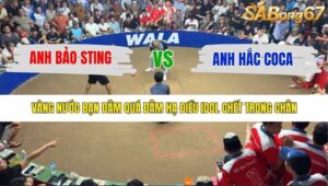 TRẬN 14 TONHON 10/12/2025