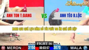 TRẬN 16 CPC3 21/12/2025