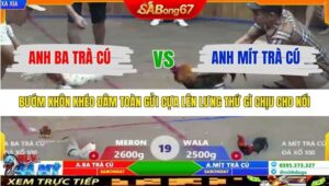 TRẬN 19 XÀ XÍA 7/12/2025