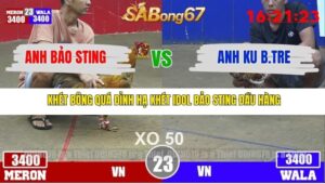 TRẬN 23 TONHON 3/12/2025