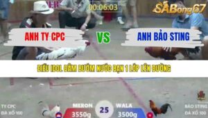 TRẬN 25 XÀ XÍA 19/12/2025