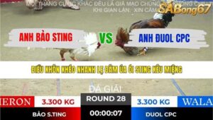 TRẬN 28 TONHON 10/12/2025