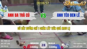 TRẬN 28 XÀ XÍA 19/12/2025