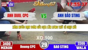 TRẬN 29 TONHON 3/12/2025