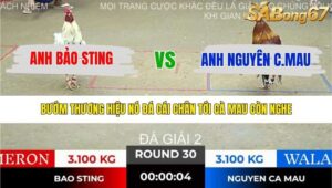 TRẬN 30 TONHON 10/12/2025