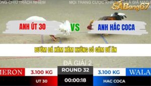 TRẬN 32 TONHON 10/12/2025