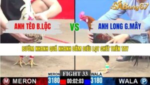 TRẬN 33 CPC3 28/12/2025