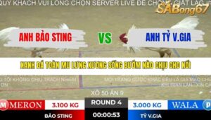 TRẬN 4 TONHON 10/12/2025
