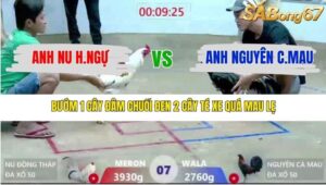 TRẬN 7 XÀ XÍA 28/12/2025