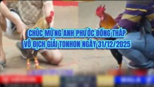 VÔ ĐỊCH GIẢI ĐÁ GÀ BỒ TONHON NGÀY 31/12/2025