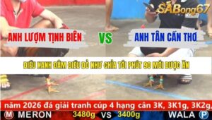 TRẬN 1 CPC5 22/1/2026