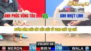 TRẬN 10 CPC3 15/1/2026