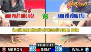 TRẬN 12 CPC3 15/1/2026