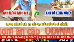 TRẬN 13 CPC5 6/1/2026