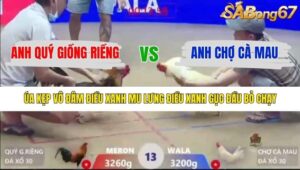 TRẬN 13 XÀ XÍA 14/1/2026