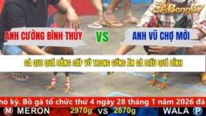 TRẬN 15 CPC5 22/1/2026