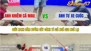 TRẬN 16 XÀ XÍA 14/1/2026