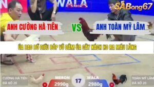 TRẬN 17 XÀ XÍA 22/1/2026