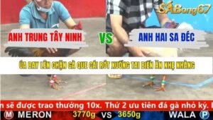 TRẬN 18 CPC5 22/1/2026