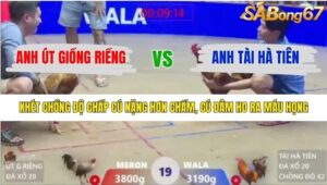 TRẬN 19 XÀ XÍA 14/1/2026