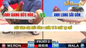 TRẬN 2 CPC3 15/1/2026