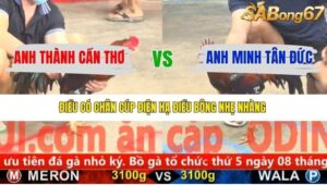 TRẬN 2 CPC5 6/1/2026