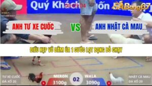 TRẬN 2 XÀ XÍA 14/1/2026