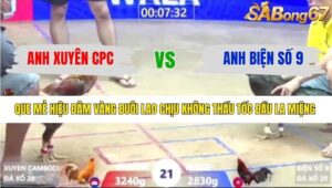 TRẬN 21 XÀ XÍA 6/1/2026