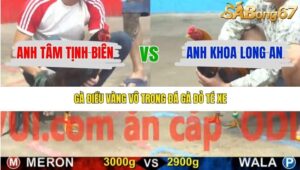 TRẬN 22 CPC5 14/1/2026