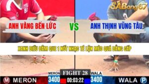 TRẬN 28 CPC3 15/1/2026