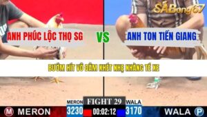 TRẬN 29 CPC3 15/1/2026